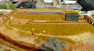 �����Ⱦ���������̤�Ž�դ�