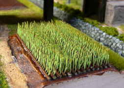 �ڤ��ä��¤٤�