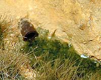 �Ӥ����ڴ�